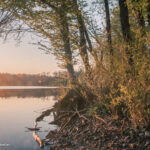 Photography by Matic Jelovčan, www.mjd.si