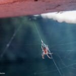 Photography by Matic Jelovčan, www.mjd.si