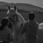 Photo by Matic Jelovčan