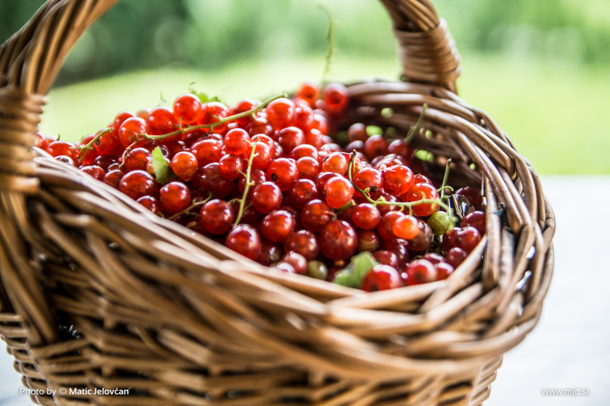 Photography by Matic Jelovčan, www.mjd.si