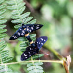 Photography by Matic Jelovčan, www.mjd.si