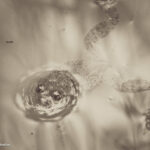 Photography by Matic Jelovčan, www.mjd.si