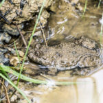 Photography by Matic Jelovčan, www.mjd.si