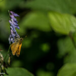 Photography by Matic Jelovčan, www.mjd.si