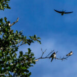 Photography by Matic Jelovčan, www.mjd.si