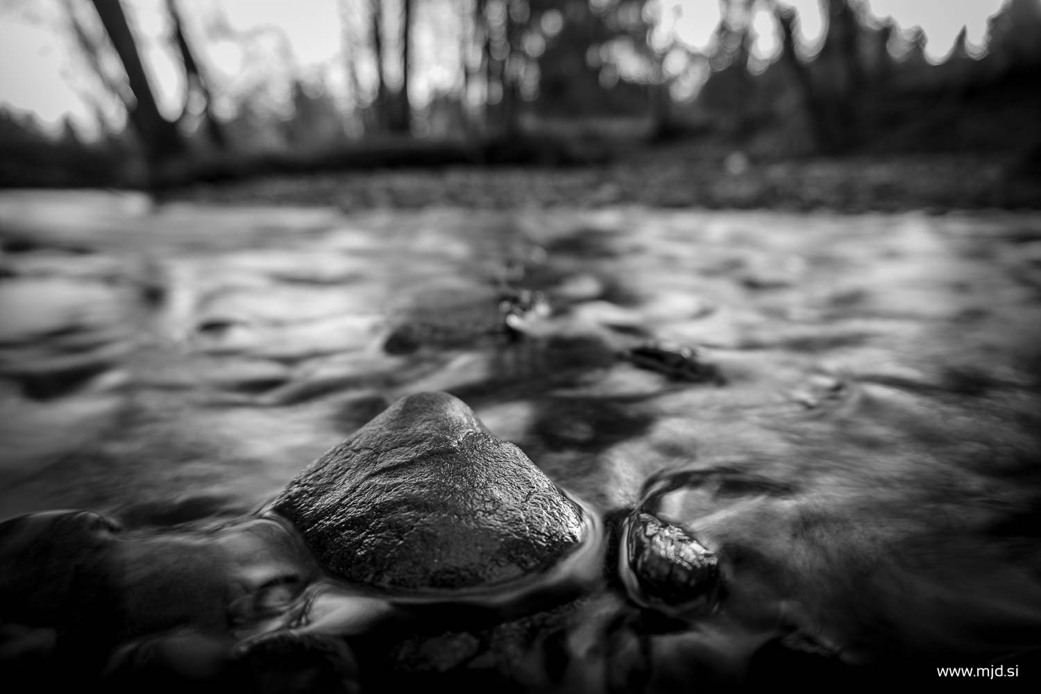 Photo by Matic Jelovčan, www.mjd.si